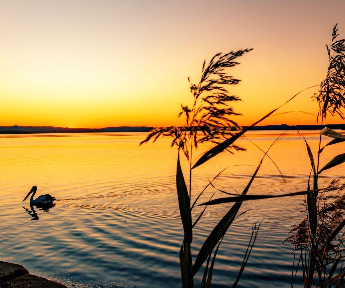 Create your own happy path with us