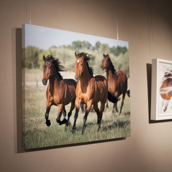 Canvas Prints - Image 4