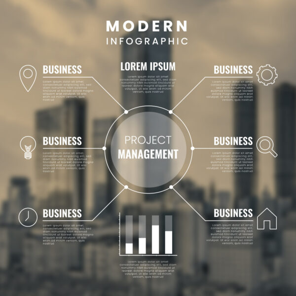 Infographic Design - Image 4