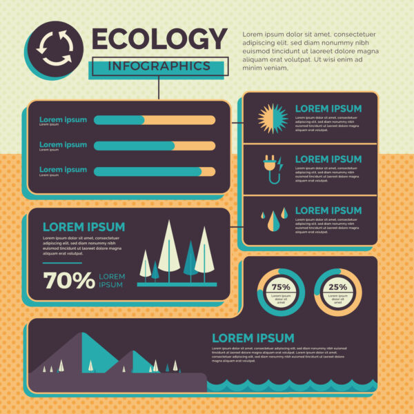 Infographic Design