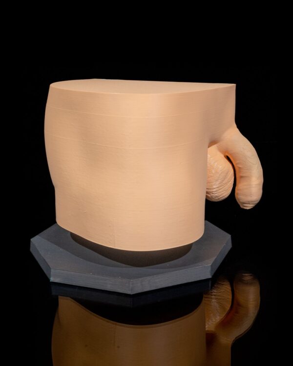 Male Reproductive System Model - Image 4