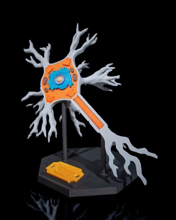 Cell Neuron Model - Image 2