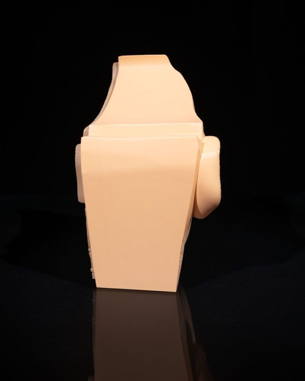 Nose & Sinus Model - Image 5