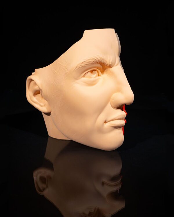 Nose & Sinus Model - Image 3