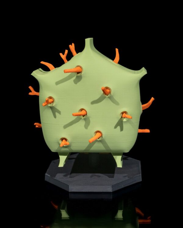 Plant Cell Model - Image 6
