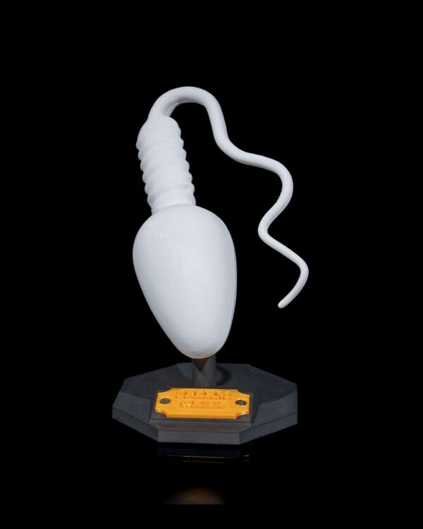 Sperm Cell Model - Image 2