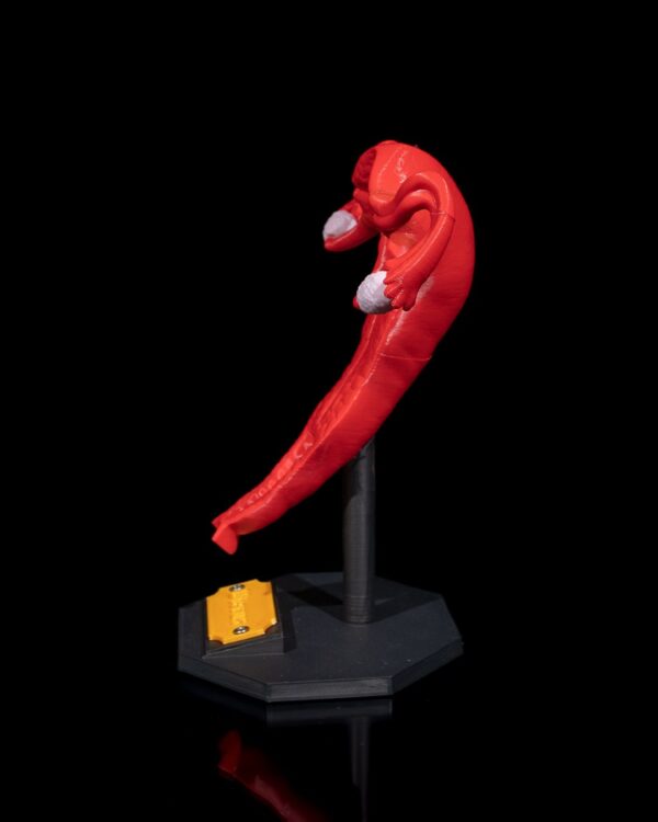 Uterus 3D Model - Image 3